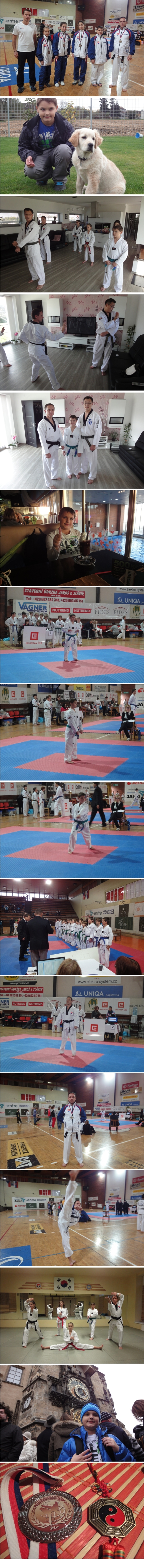 KORYO PANTHERS TAEKWONDO, Gabriel a Gabi Hiczérovci 