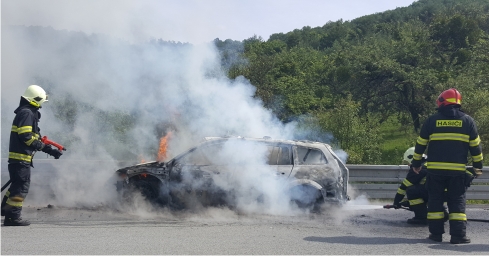 auto zhorelo