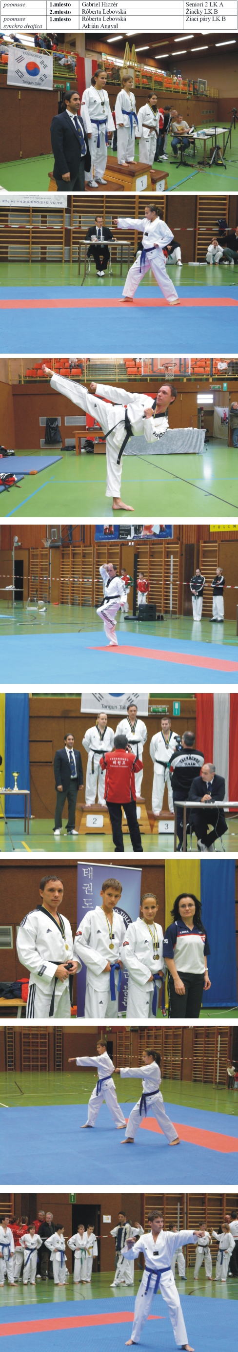 TAEKWONDO ROZNAVA